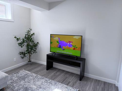 Southeast Calgary Apartment | A very cozy 1 bedroom apartment