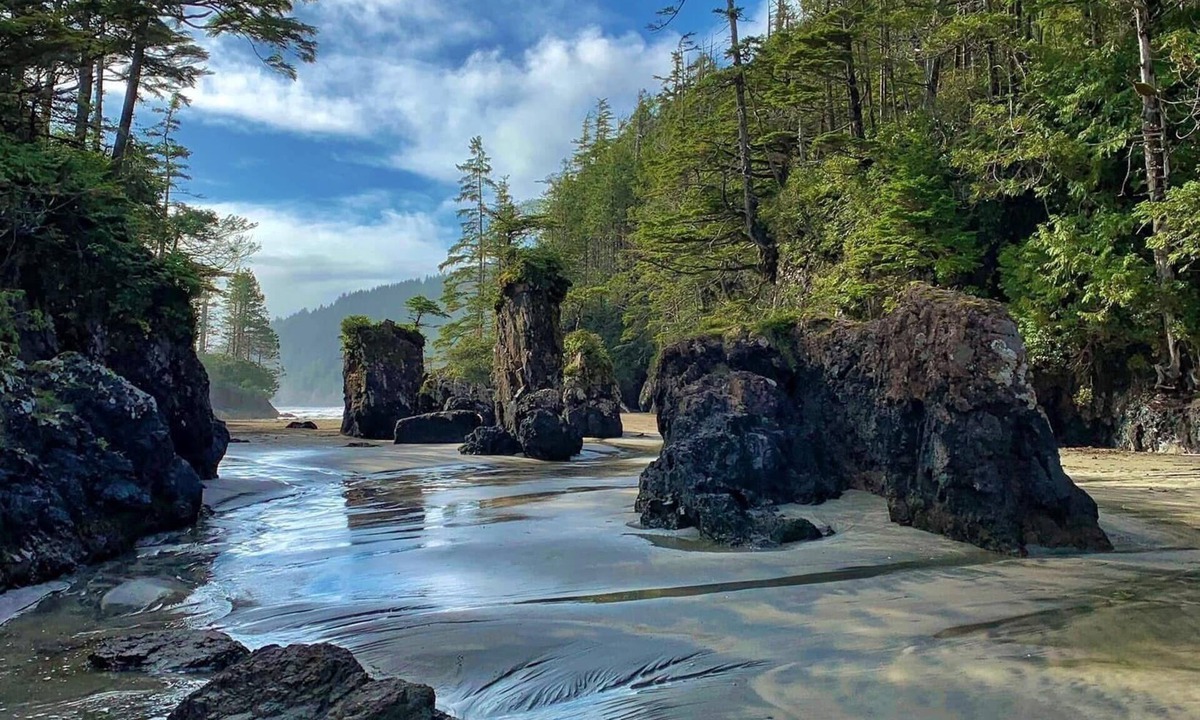 Port Hardy Hotel | Airport Inn