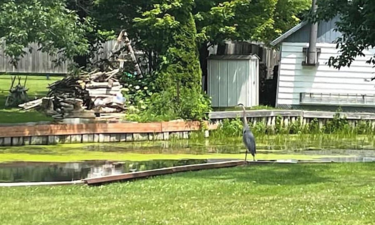 South Glengarry Cabin | Beautiful 2BR Waterfront Cottage! #3nn