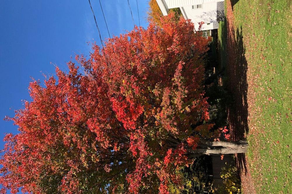 Stanhope Cottage | By The Bay Cottages in Stanhope! - Superior two Bedroom Executive Cottage #13