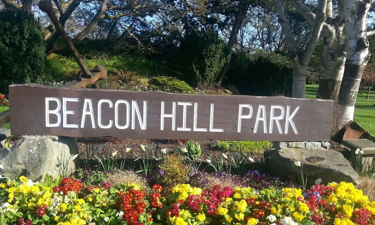 Fairfield Apartment | Charming Modern 2BR Suite by Park, Ocean & Downtown