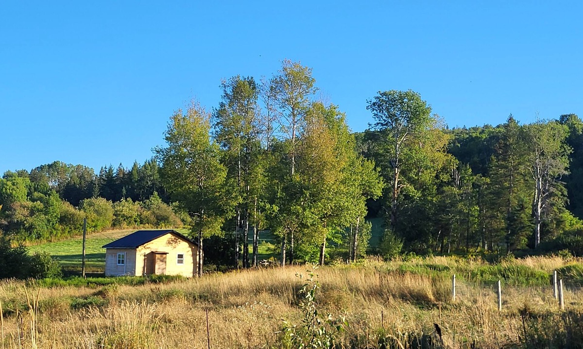 Waterford Cabin | Cozy Country Cottage Near Fundy National Park, Poley Mountain & St. Martins