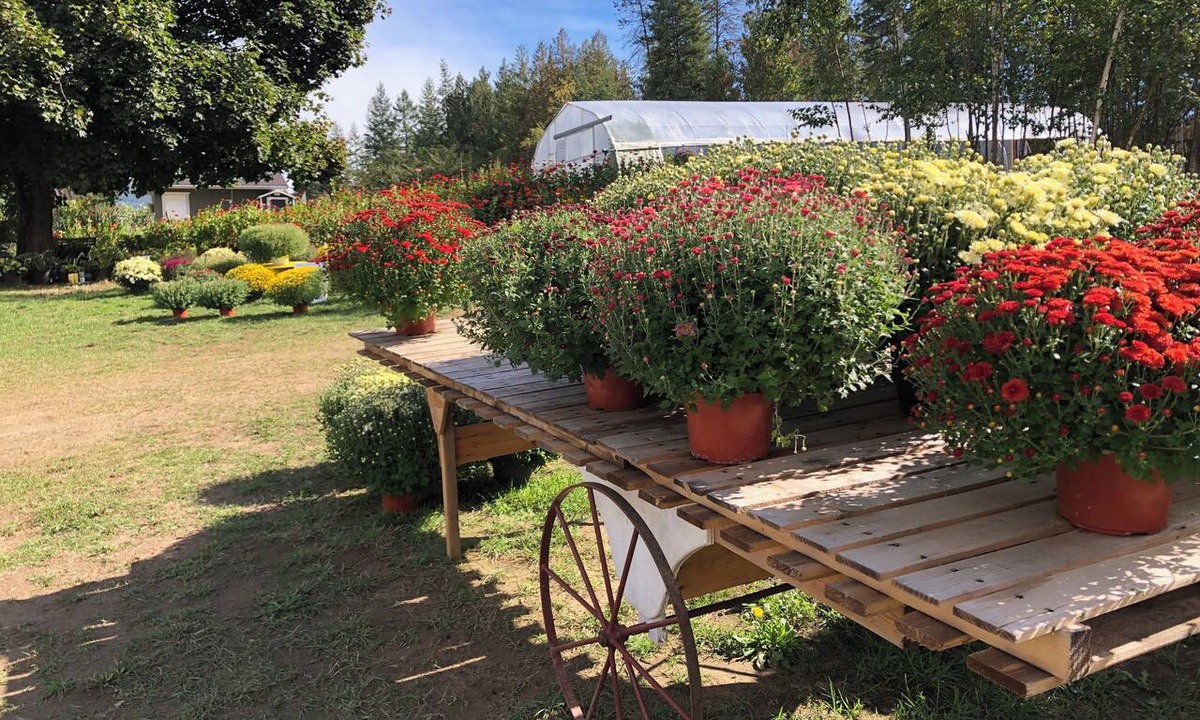 Salmon Arm Cottage | Cozy guesthouse on a working fruit and flower farm.