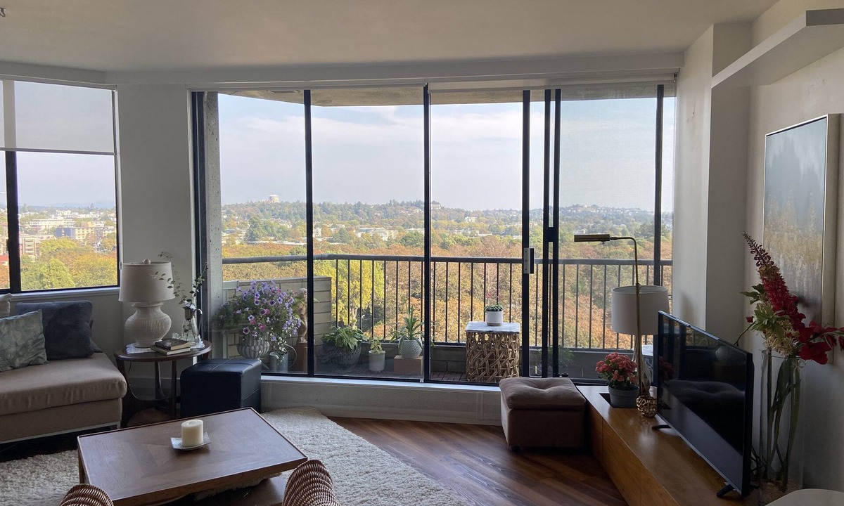 James Bay Apartment | Downtown View