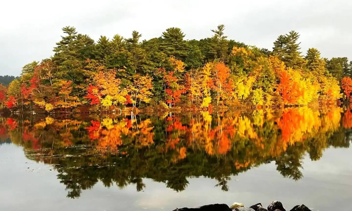 Raymond House | Edgewater Retreat on Little Sebago Lake - Lakefront w/Sauna & EV Charger