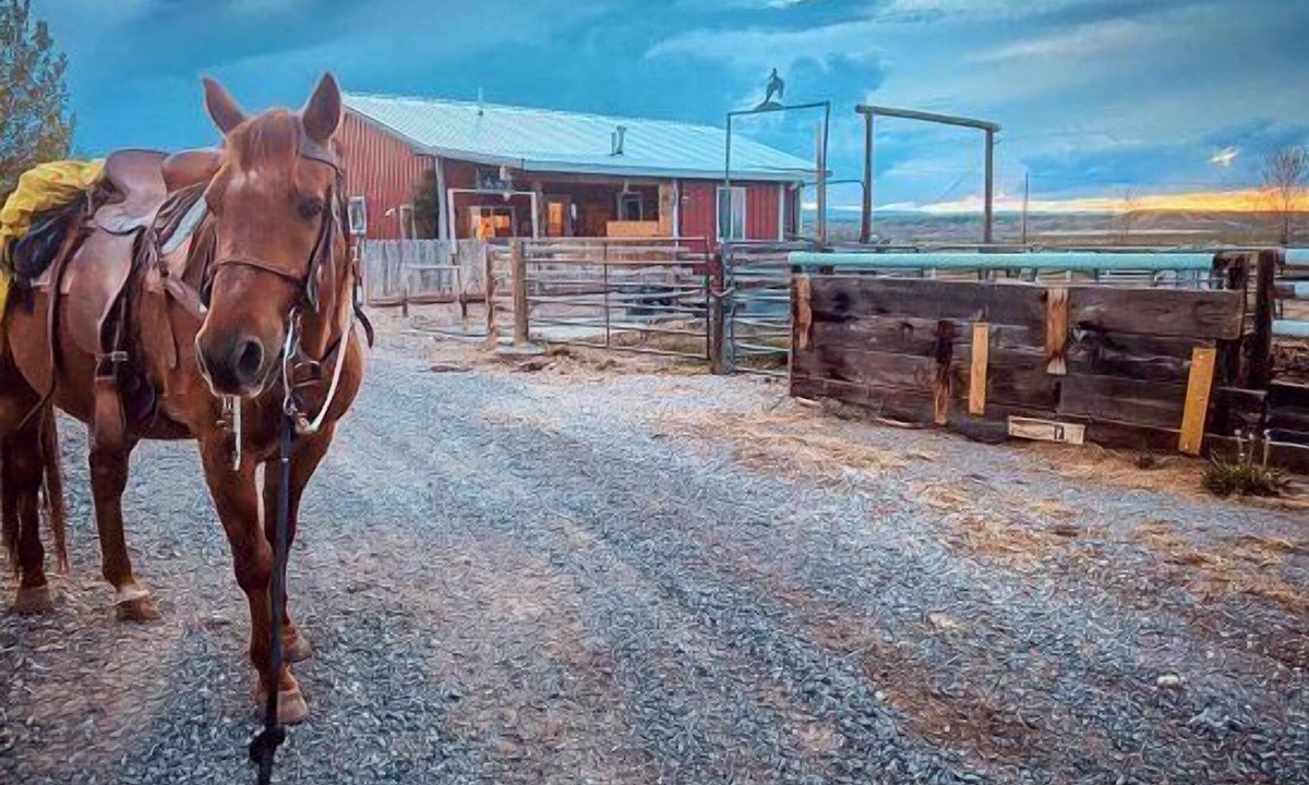 Cody Apartment | Heart Strings Ranch- Views of Heart Mountain & Near Horses!