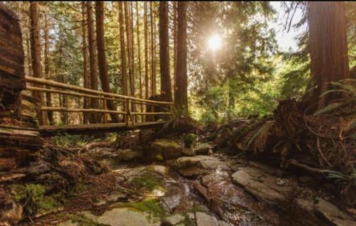 Roberts Creek Bed & Breakfast | Hidden Creek Hideaway