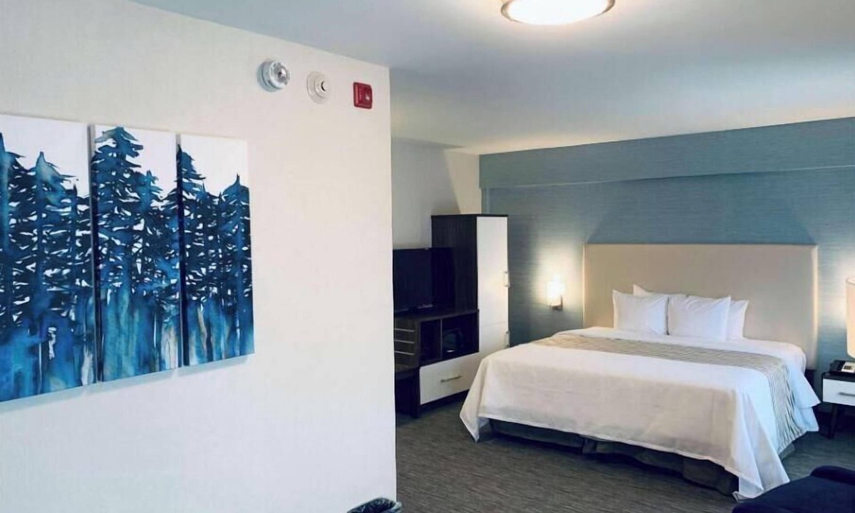 Northeast Mississauga Apartment | Hotel Chandni Victoria -King Room