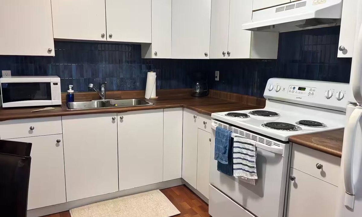 East Clayton House | Ivy Suite - 1 Bedroom private entrance basement suite in Clayton Heights
