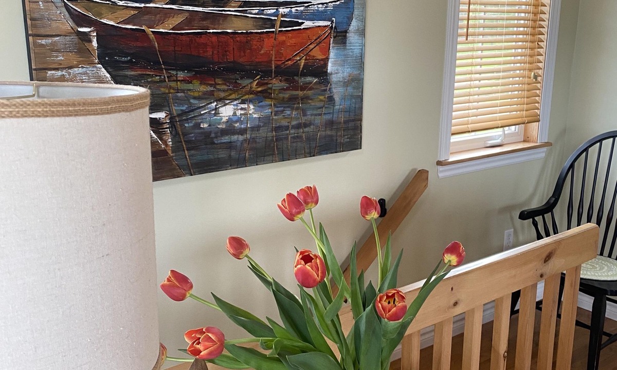 Souris Cottage | Oceanview Beach Cottage and Bunkie