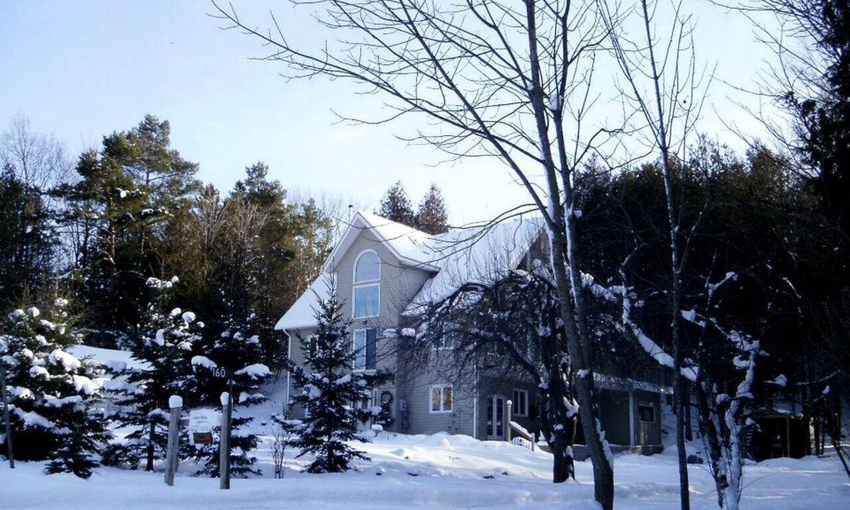 Flesherton Cabin | Peaceful Bed and Breakfast Accommodation by Eugenia Falls near Flesherton, Ontario
