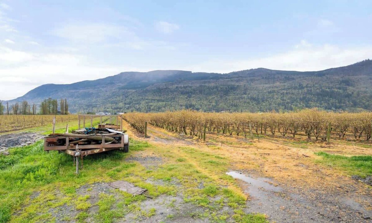 Sumas Prairie House | Private Farm Escape with Modern Comforts