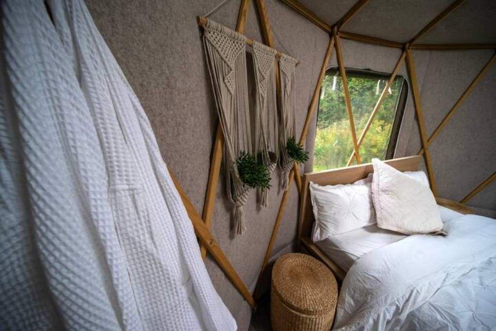 Ashburn House | Secluded Yurt on 100+ Acre Tree Farm