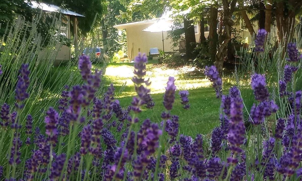 Fauquier Cottage | Serenity & Adventure @ Arrow Lake Lavender Cottage. Walk to Sandy Beach & Golf.