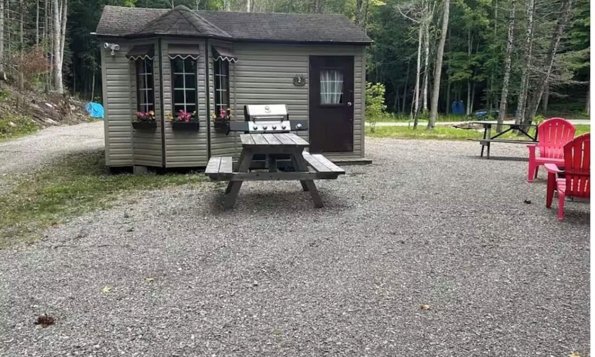 Gooderham Cabin | Steps away to gooderham lake plus pet friendly