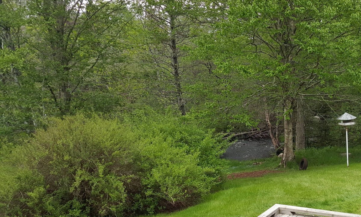 Chester House | Stoneybrook House - historic property on 1.7 acres of land