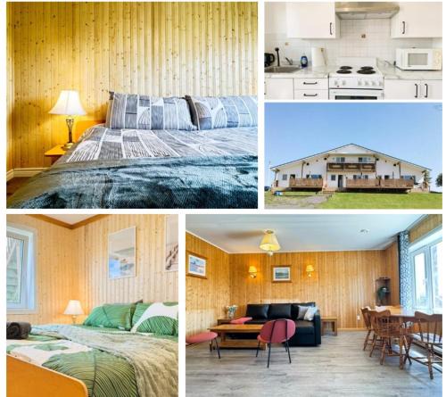 Cape Breton Island Apartment | The Great Cabot Lodge