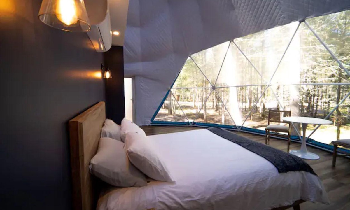 Queens County Cabin | The Indigo
