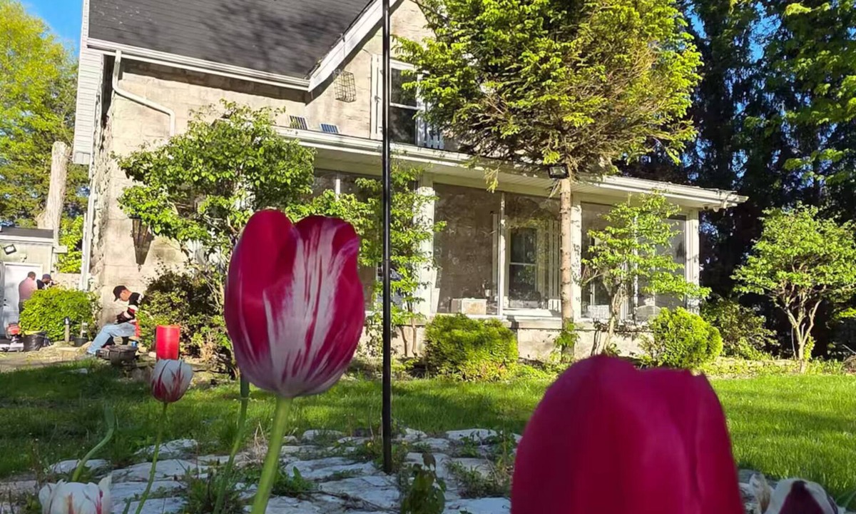 Kingsville House | The Modern Gathering Place