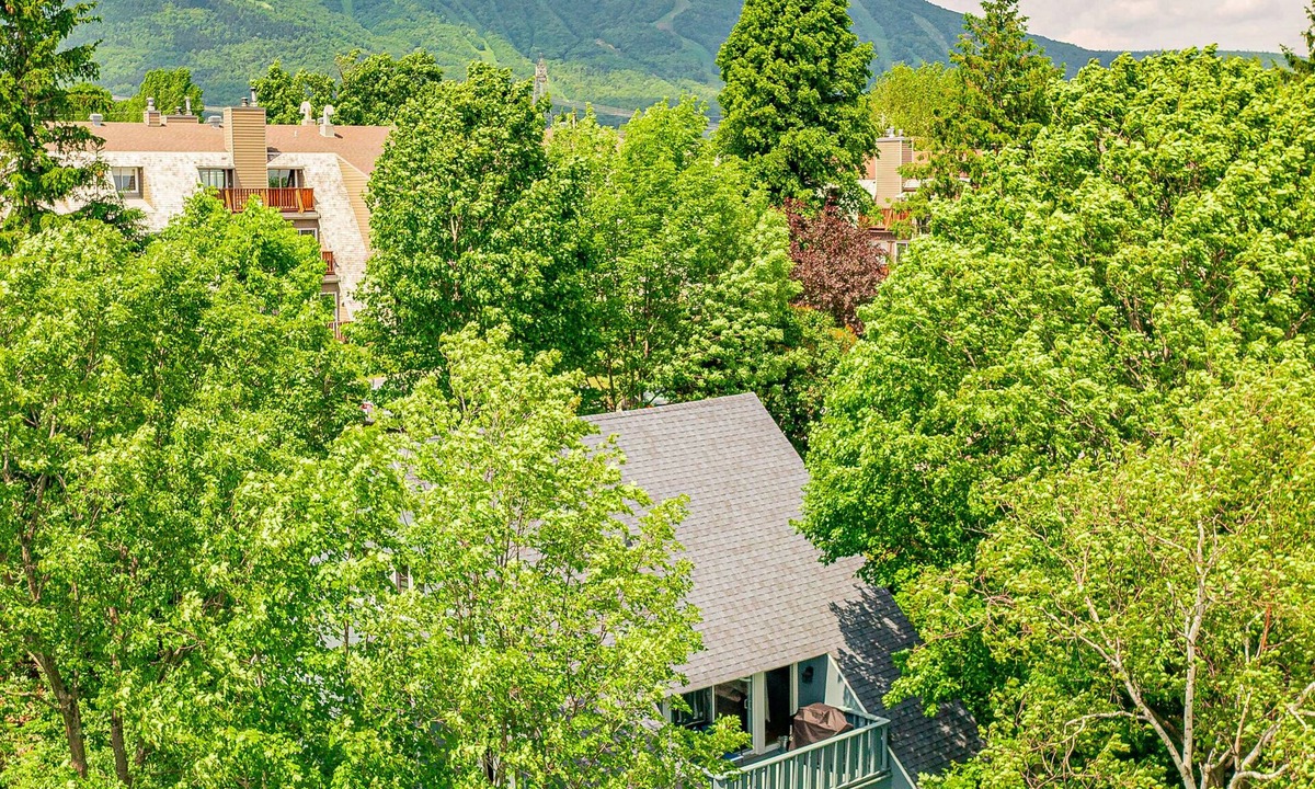 Beaupre House | The Sky House | Nested in Trees | Indoor & outdoor Pool | AC | BBQ | Sauna | Gym