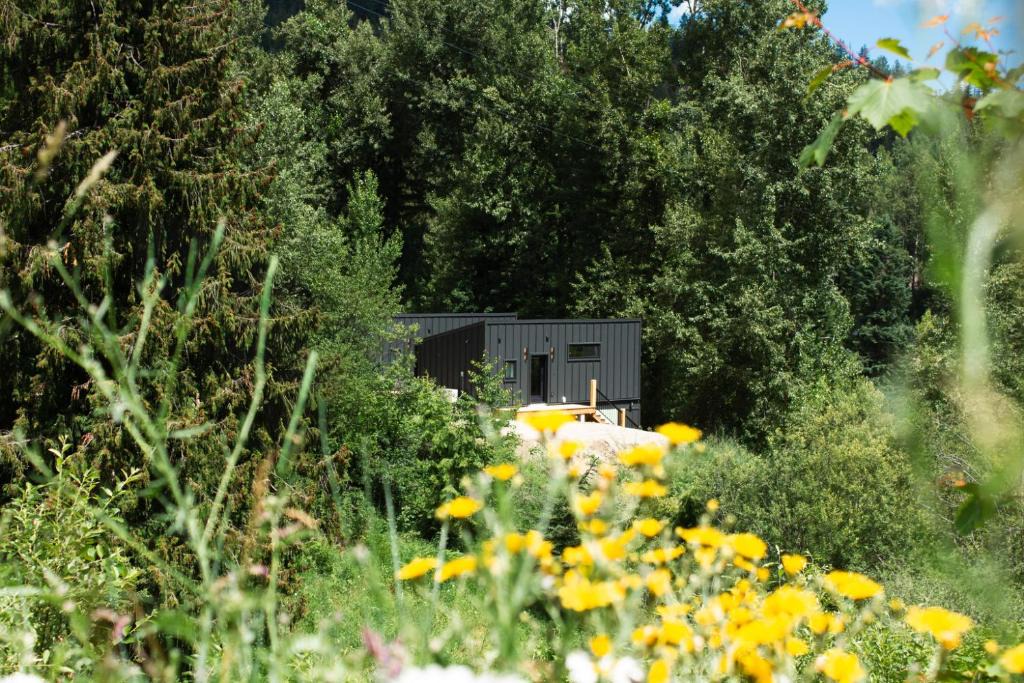 Rossland Ski Chalet | Tinwood Cabins The Climb, 3 mins to Rossland