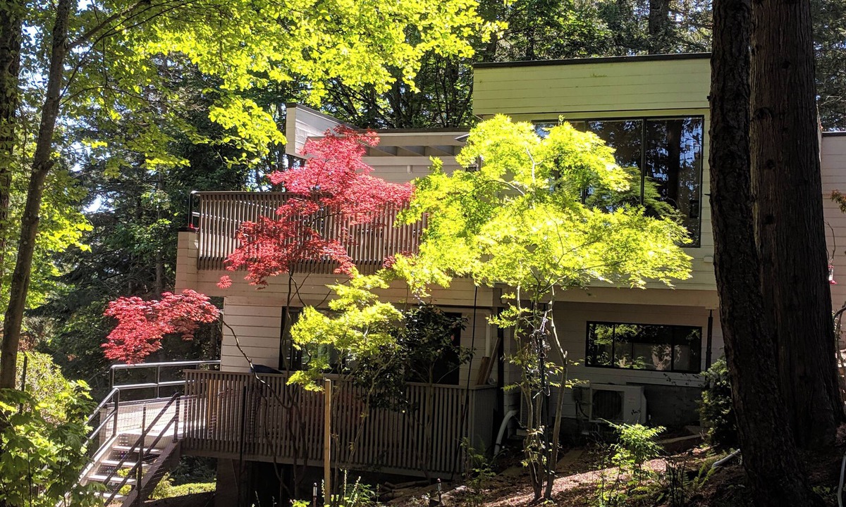 Broadmead House | Urban Forest 2 Bedroom+ suite in Mid Century Architect's Home