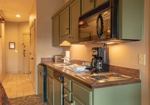 Wilderness Club™ at Big Cedar® - Ridgedale - Studio in Ridgedale
