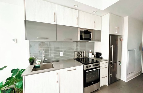 Byward Market - Parliament Hill Condo | 2-STOREY LUXURY LOFT - CENTRETOWN 1 BEDROOM + 2 BATHS - SCANDINAVIAN INSPIRED