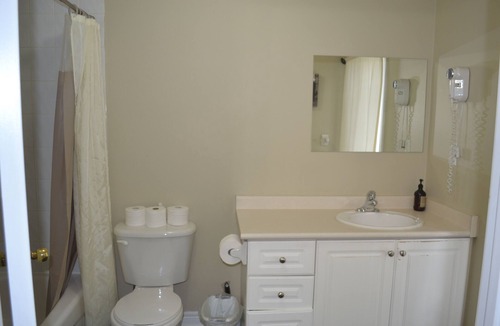 Whitby Apartment | 3 BEDROOM FULLY FURNISHED HOUSE DOWNTOWN WHITBY