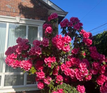 Richmond House | A lucky quiet en-suite on the second floor with independent entranceclose to YVR