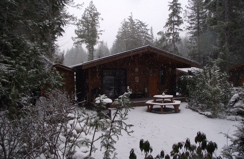 Port Renfrew Cottage | A Wild Coast Chalet ~ with sunny outlook and beautiful tree views