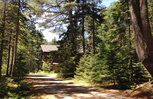Mount Desert Cabin | Acadia Cabin on 2 Secluded Wooded Acres near Bar Harbor