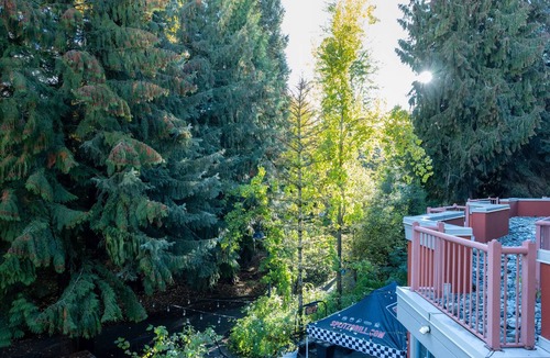 Village North Apartment | Alpenglow Lodge Cozy Studio with Den by MVA