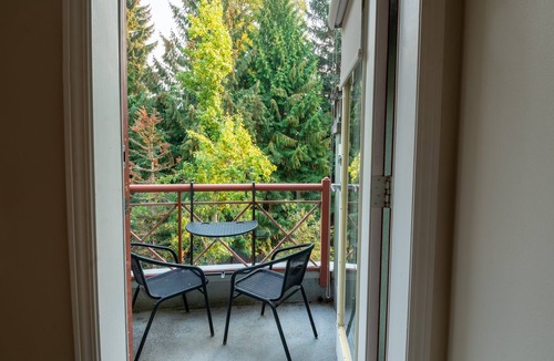 Village North Apartment | Alpenglow Lodge Large Studio by MVA