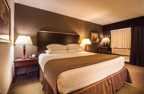 Calgary Hotel | Best Western Airport Inn