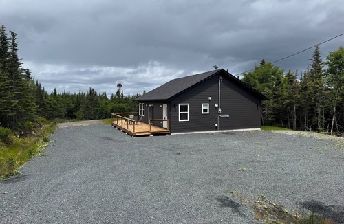 Bellevue Cottage | Birch & Bough Cottage - a private cottage surrounded by trees w/AC in Bellevue.