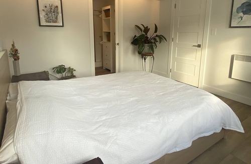 Courtenay House | Bright, spacious and centrally located garden suite