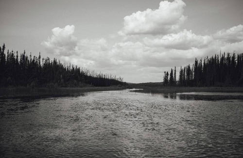 Saskatchewan Cabin | Private Northern Cabin - Fly-In Fishing - Accessed by Charter Aircraft
