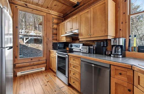 Lac Superieur Village Ski Chalet | NEW! Timber Chalet w/Hot Tub Forest Views