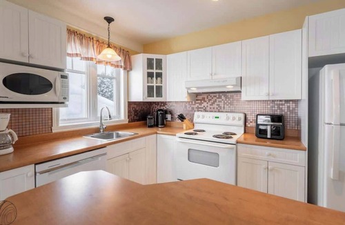 Saint Donat Condo | Condo Vert le Bonheur Lac Archambault | Fireplace | beach access