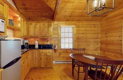 Northport Cabin | Comfortable dog-friendly cabin with fireplace & kitchenette near hiking trails