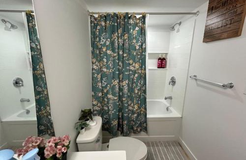Winnipeg Apartment | Cosy and Cute Private Basement Suite