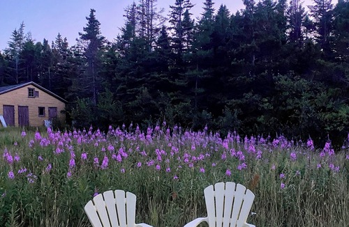 Hants Harbour Cabin | Cozy 2-bedroom cabin in peaceful New Chelsea, perfect for relaxing getaway!