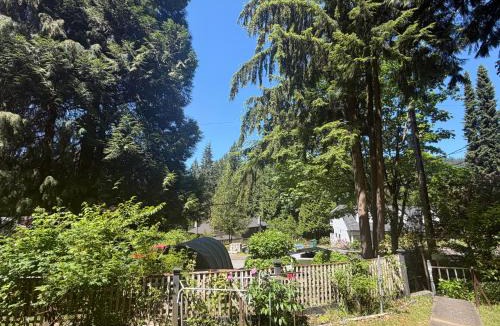 Burnaby House | Cozy EnSuite No Pets Allowed