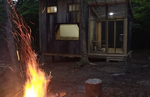 Arden Cabin | Cozy off grid retreat overlooking forest and wetlands with sauna and trails.