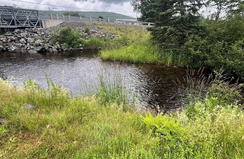 Margaree Valley House | Cozy, spacious home overlooking the brook, 5 min walk to Dancing Goat Cafe.