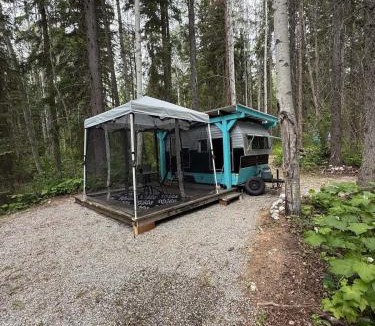 Golden Other | Cozy Vintage Camper, the Tealy Wheely