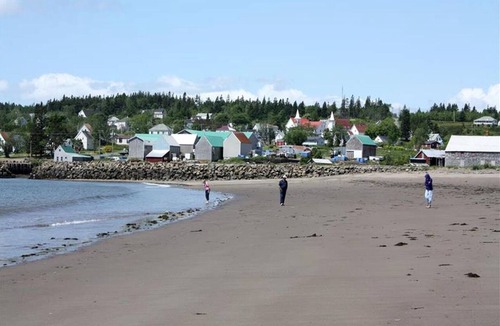 Seal Cove Cottage | Cozy Waterfront Cottage Rental for Peaceful Island Getaway in Seal Cove, New Brunswick
