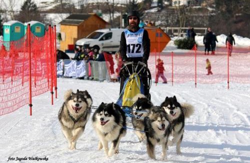 Division No. 9 Apartment | Creekside Haven on a Sleddog Farm