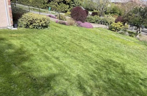 Cordova Bay House | Cross the Street to the Beach & Ocean Views
